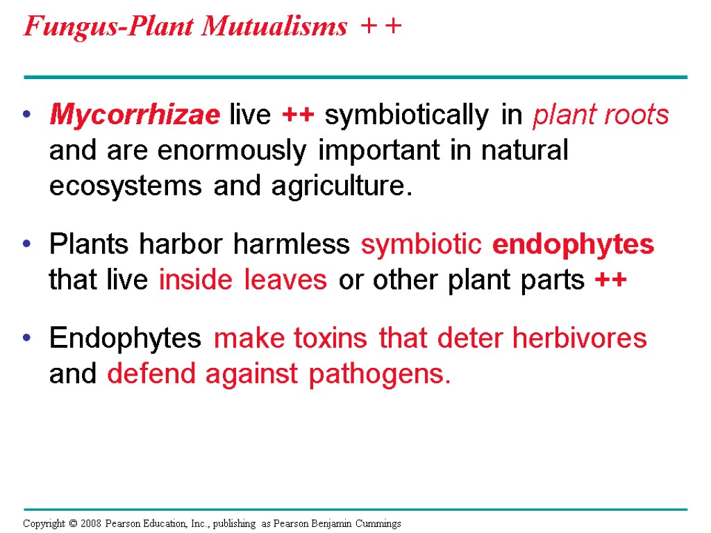 Fungus-Plant Mutualisms + + Mycorrhizae live ++ symbiotically in plant roots and are enormously